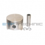 Etp No: M.02.20.0186 | Oem No: 0186210 | Piston And Rings
